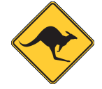 Nannup Skippycoin ICG